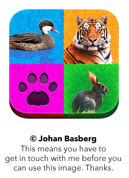 [A pointing book for kids, with animal images, tracks and sounds]